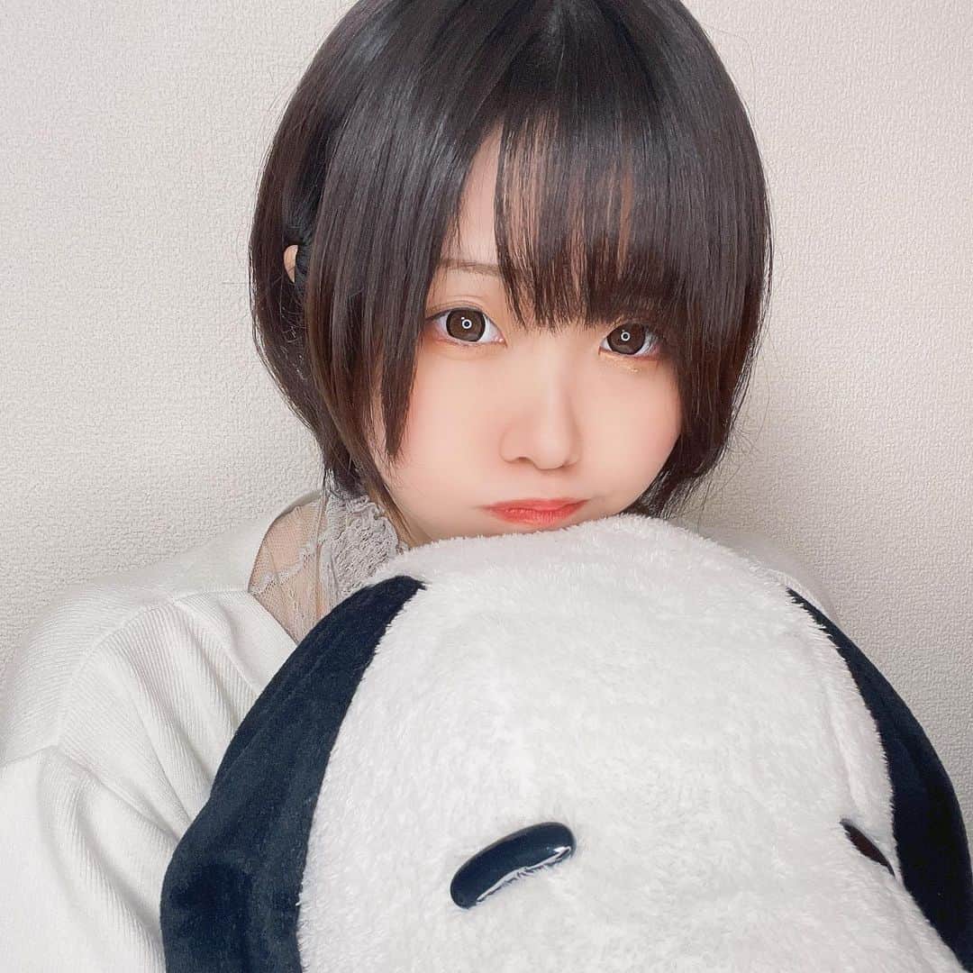くろねこのインスタグラム：「🐶 #japanese #japanesegirl #黒髪 #黒髪ショート #黒髪女子 #くろねこ」
