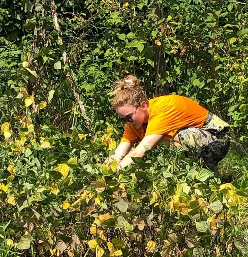 リリー・コールのインスタグラム：「When @lilycole - climate activist, writer, performer- visited, she didn’t hesitate to get her hands in the earth.  #lilycole #gardening #getyourhandsdirty」