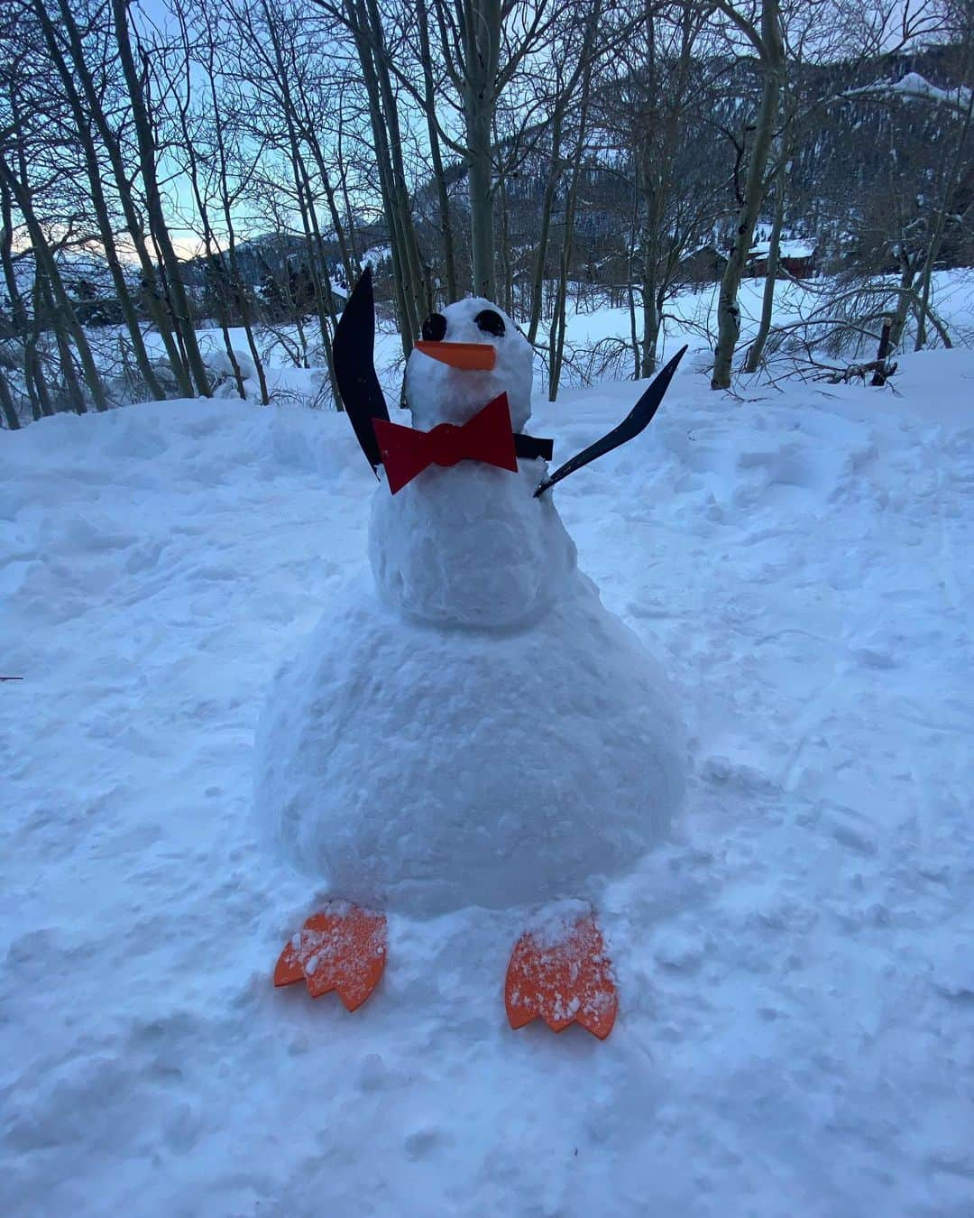 Eidaさんのインスタグラム写真 - (EidaInstagram)「snow penguin!   #snow #winter #winter2023 #mammoth #mammothmountain #winterclothes #winterfashion #winteroutfit #snowpenguin #cold #coldgirlmakeup」1月11日 7時00分 - lespros_eida