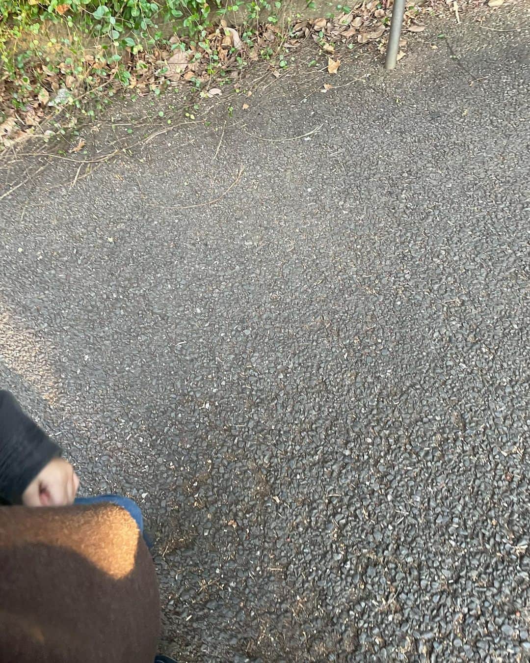 鳥谷部知愛のインスタグラム：「冬休みも終わりましたね＾＾ たくさんお出かけした✨  目の前のできないに悲観せず できるようになるにはどうするかを。 ぐっと耐えて投げ出すことをしない息子さん😳  私は息子さんを尊敬してます＾＾ 学ぶことが多い育児。 育児…してるのか、されてるのか…？☺️てへ  #男の子ママ #男の子」
