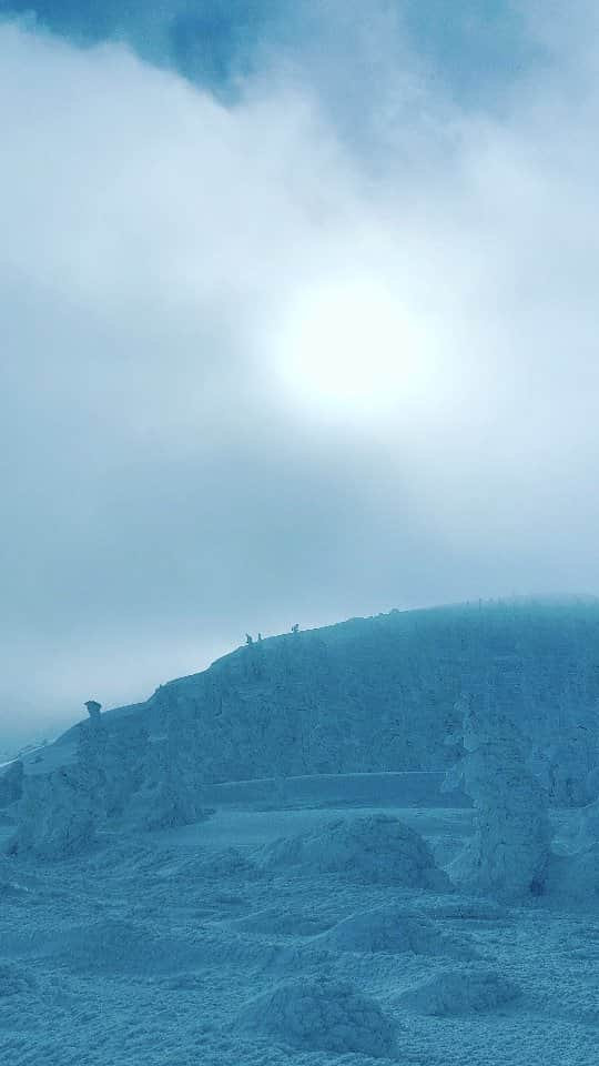 岩山立子のインスタグラム