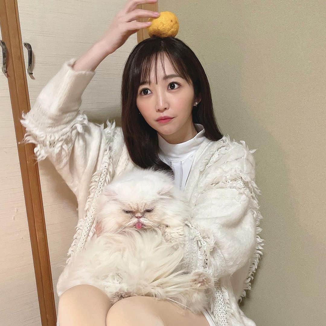 のインスタグラム：「🍡  放送お疲れ様でした🎤 日付変わってしまいましたが、 今日は鏡開きの日らしいです！  毎年関東や九州は1月11日に行われることが多いんだそう✍🏻  鏡餅は神様が宿るところと考えられており、 鏡餅を開くことで年神様をお送りすることになり お正月に一区切りをつけることになるんだそうです＾＾🎍  写真1枚目はシロマティーと鏡餅になろうとしたもの📷🍊 2枚目は手作りのお雑煮と茶碗蒸し🥢 鏡餅はお汁粉にしました🐇💓  #鏡餅 #鏡開き #猫」