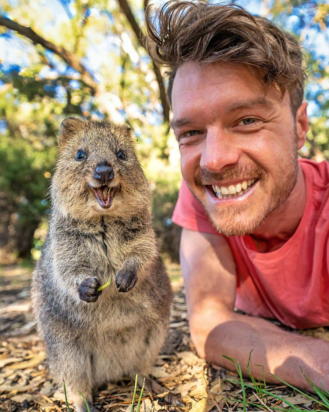 アラン・ディクソンのインスタグラム：「Do we still like the animal selfies? It’s been a hot few months of focus and grinding. Major results coming for 2023 😎  Personal update: there is so much going on in the background that’s stole my attention here. Visa docs so I can exist in Australia, work proposals, life necessities, mental & physical game, missing family over the holidays. No matter, we keep pushing. Love your support!! ❤️🐻 @quokkahub #quokkaselfie #quokkas #quokka #australia #wildlife」