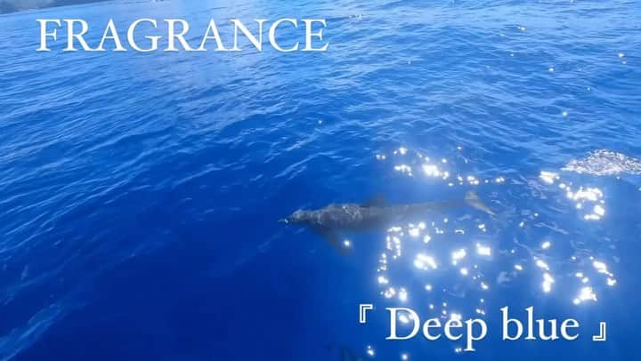 葉月祥子のインスタグラム：「FRAGRANCE  Newsingle『 Deep blue 』🐬💫 ⁡ 本日1月11日より各音楽サイトにて配信されました🤍 ⁡ なかなか完成しない音楽🥲💦 ⁡ 以前の『甘い土曜日』『 SUNDAY 』から気付くと2年が経っていました😂 ⁡ ミニアルバムができるくらい曲は溜まってきたのですが、 ⁡ この曲は、いくつか作ってきた中で、今までとはまた違うイメージのものです🪞🫣 ⁡ ⁡ 海沿いでもドライブしながら聴いて頂けたら嬉しいな♪と思い、 ⁡ イメージは、どこまでも続いていく 深くて青い大好きな海。 ⁡ こんな時だから、旅したくなるような、自分を解放できる様な曲ができたらなって✈️✨ ⁡ ⁡ 普段の私とは全然違うカッコいい曲になっていると思います🐬🥰😎 ⁡ 今回も、メロディと作詞、歌唱を担当してます♪ ⁡ 共に作りあげたのはもちろん、Rap、編曲 、歌唱 @ta2ya_bentokidz  FRAGRANCE ⁡ mixmastering　@studiobridge_recording  ⁡ ⁡ プロフィールから飛べますので、是非日常のワンシーンにでも🫶🏻✨聴いてもらえたら嬉しスギ薬局です🥰🫶🏻✨ ⁡ ⁡ FRAGRANCE   #新曲 #deepblue #ディープブルー #newsingle #fragrance #music #音楽 #海が好きな人と繋がりたい #旅したくなる #曲」