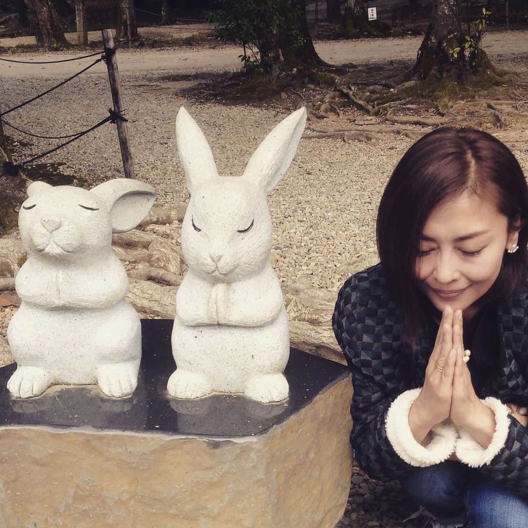 のインスタグラム：「随分懐かしい写真になりますが、兎3選🐇」