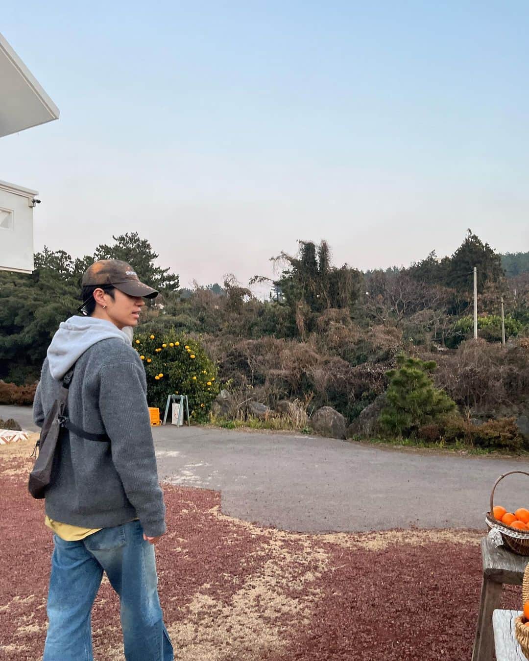ユンヨン さんのインスタグラム写真 - (ユンヨン Instagram)「제주감귤 아카이브🍊」1月11日 22時58分 - 2yoooung