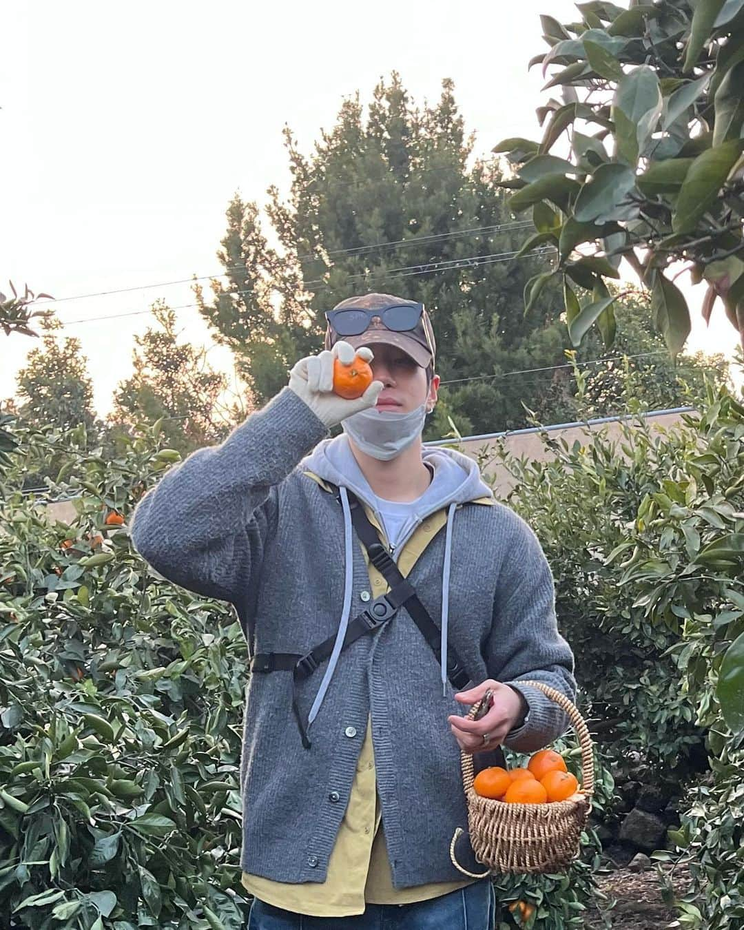 ユンヨン さんのインスタグラム写真 - (ユンヨン Instagram)「제주감귤 아카이브🍊」1月11日 22時58分 - 2yoooung