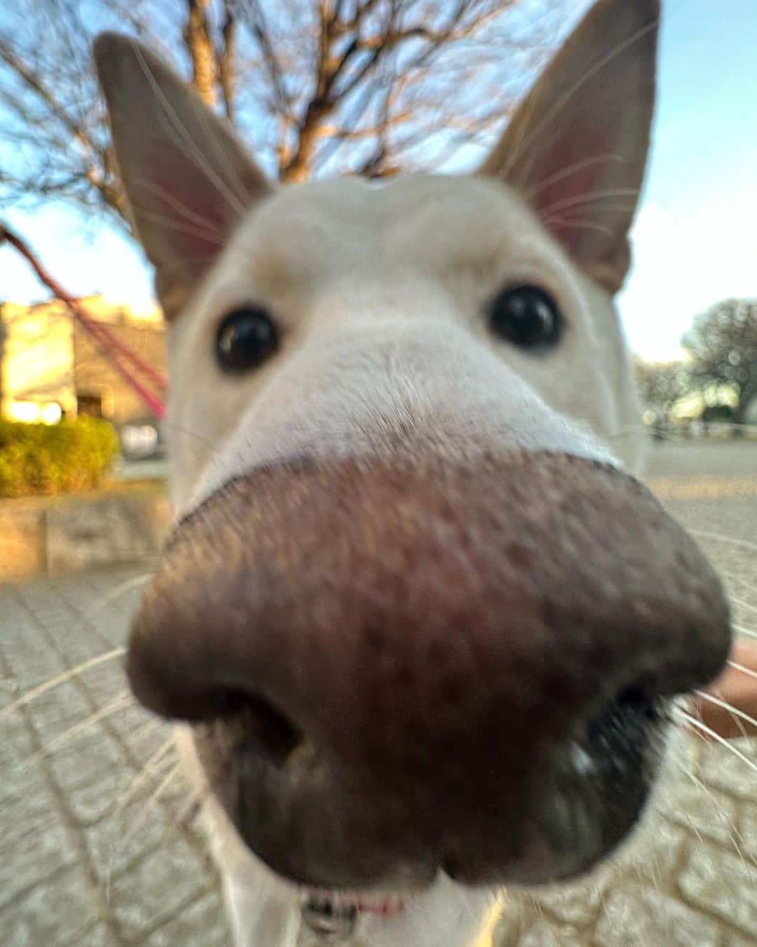 Mayuriのインスタグラム：「Hi💕 Koharu chan💕☀️💕」