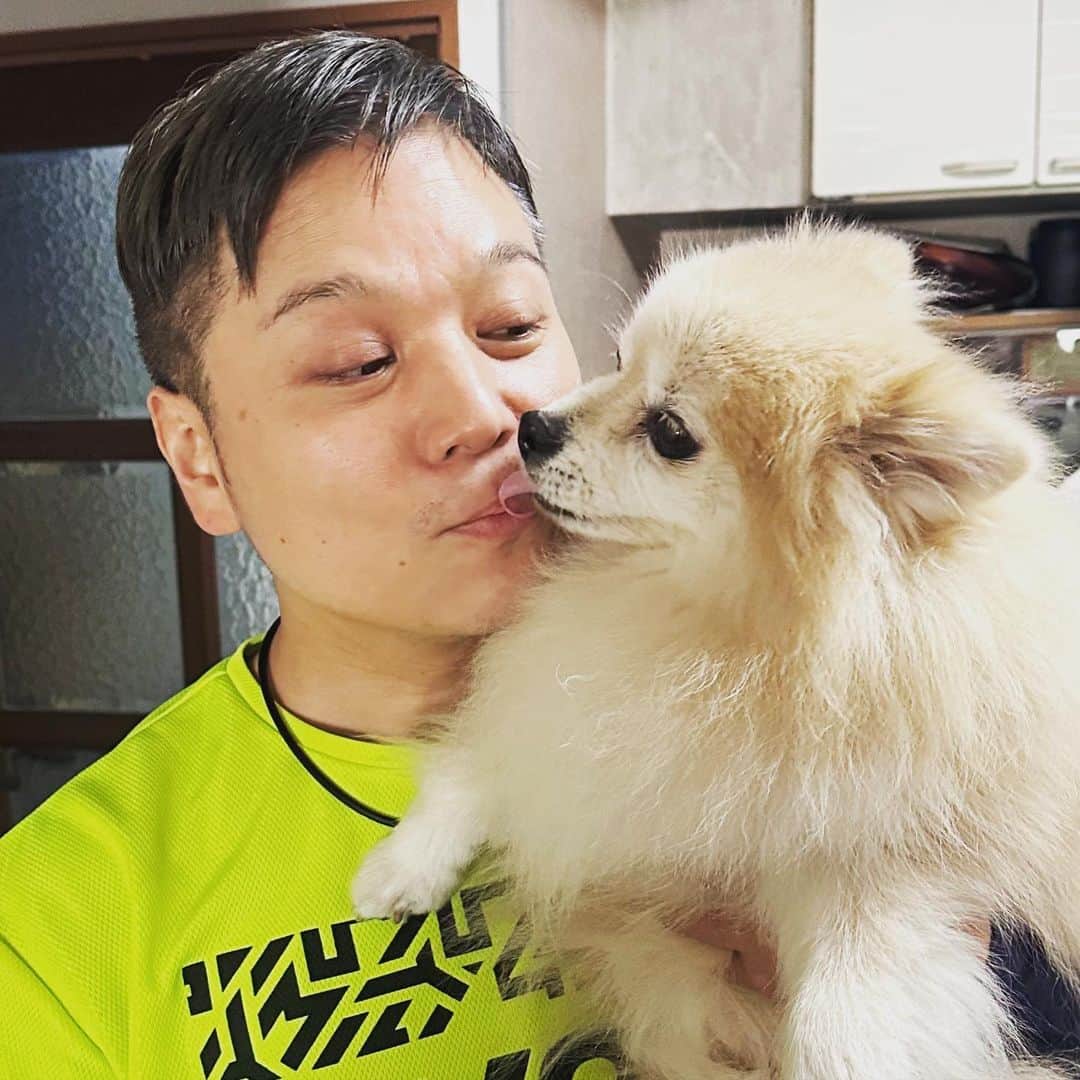 YO!YO!YOSUKEのインスタグラム：「幸せそうな父とオヤツの為にチューをする息子  #ポメラニアン #癒し #愛犬 #ペット」