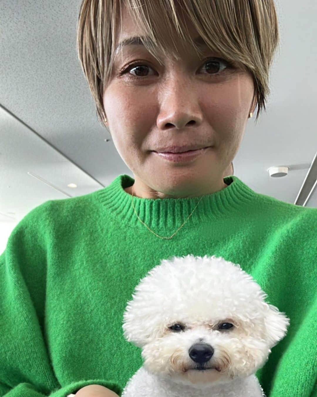 田中明日菜さんのインスタグラム写真 - (田中明日菜Instagram)「. じゅうたんシリーズ🐶」1月12日 13時53分 - asunatanaka