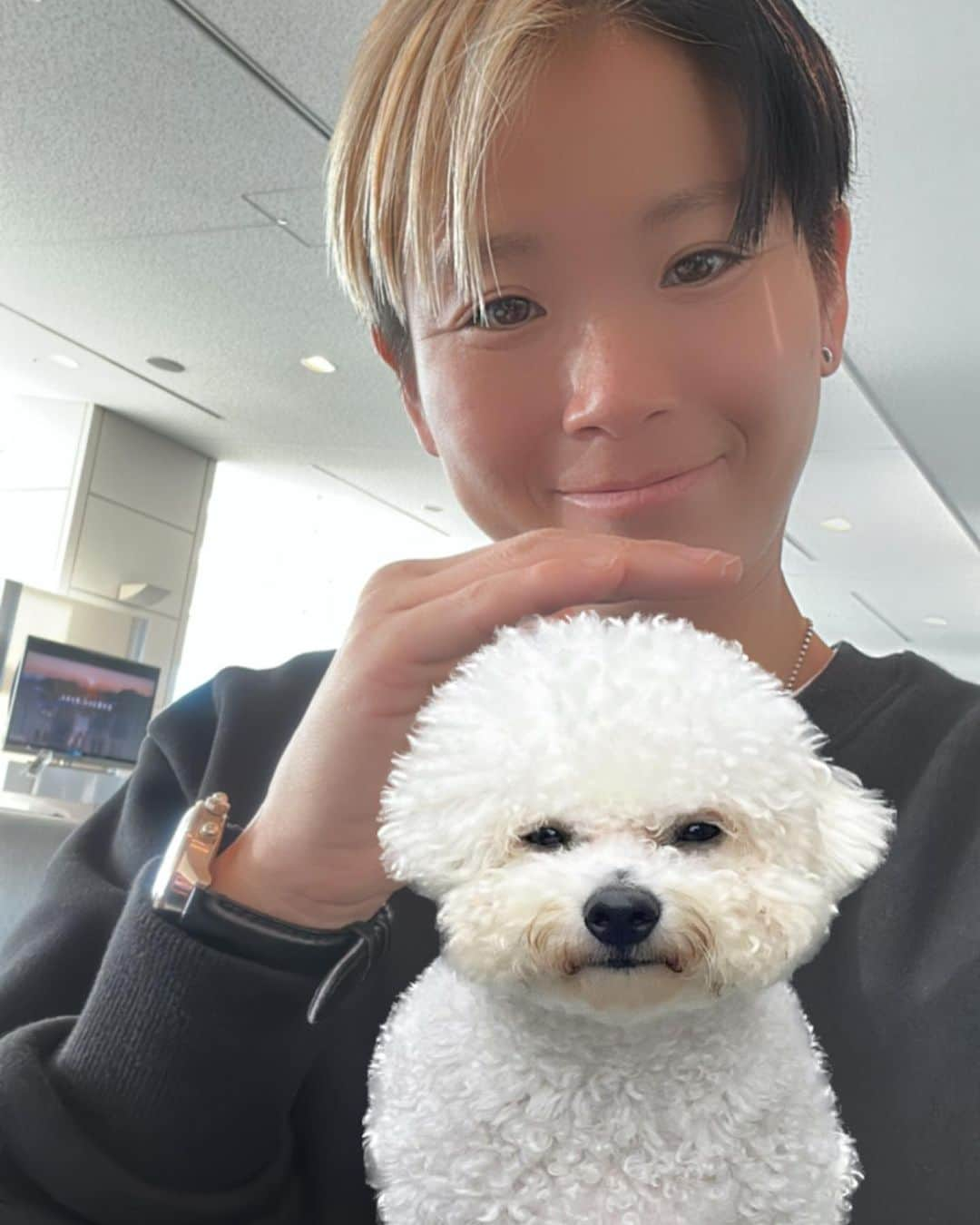 田中明日菜さんのインスタグラム写真 - (田中明日菜Instagram)「. じゅうたんシリーズ🐶」1月12日 13時53分 - asunatanaka