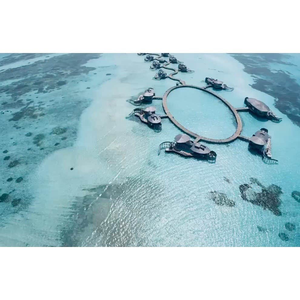 宇賀なつみのインスタグラム：「*  年が明けてからは、モルディブへ。  こちらでもたくさんの生き物に出会い、 自然の美しさや人の優しさに触れ、 全身の力をぬいてリラックスできました。  海も風もなんだか軽やかで、 どんどん自分自身に戻っていくような感覚…。 贅沢な経験をしました。  ライカを肌身離さず持ち歩き、 きちんと許可を取ってドローン撮影にも挑戦‼︎  昨年はたくさん文字を書いたので、 今年はたくさん景色を撮りたいなぁ…。  さて、思いっきり楽しんだので、 また頑張って働きます(^^)  #maldives  #sonevajani  @maldives_soneva_jani  #ritzcarlton  @ritzcarltonmaldives」