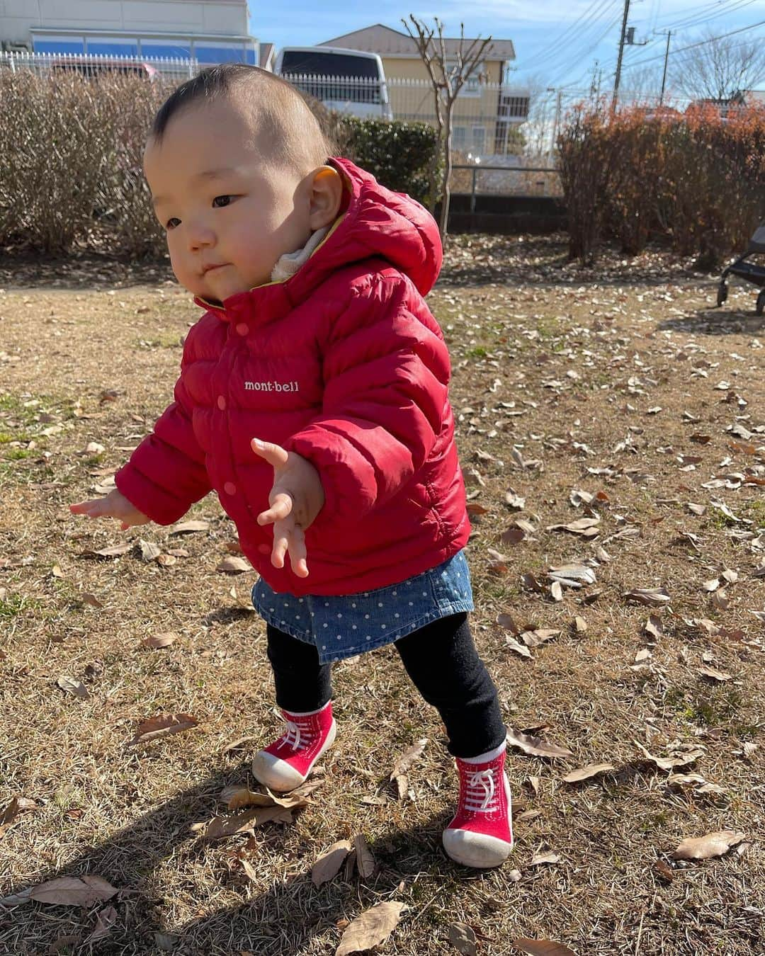 飴宮さゆりさんのインスタグラム写真 - (飴宮さゆりInstagram)「エマちゃんが快適にお昼寝してくれているので一年ぶりに投稿してみようと😊✨ 最近はストーリーばっかりやしね。  まずは皆さま今年も宜しくお願いします、今年は大吉引きましたので多分私と会ったり絡んだりしてもらえると多少良いかもしれないです🥰🙏  エマちゃんも1歳3ヶ月になって一丁前にノンアルを持ち歩く始末🍺 トコトコ歩くのも可愛いけど危ないし気が気じゃないねー。  最近はもっぱら幼児教育にハマってる元プロレスラー&女優の私です。 なんでも色々見聞きしてるとやれ絶対音感はいい英語が大切、遺伝で思春期には親の影響に引っ張られるからお勉強は早い方がいいなどあるみたいで幼児教育こそ大切だと‼️  そんなこんなで純粋で素直な私は魔に受けて大好きなエマちゃんと楽しく毎日チャレンジしてます✨ 一度きりの人生悔いのないようにね❤️ とにかく今年はずーっとやりたかった英語のお勉強を頑張りたいです‼️ 早く皆さんと乾杯できる日が来る事を願ってます🍺毎日ノンアルです👌ノンアルに詳しくなって来てノンアルバー出来そうです😳笑 お近くのママさんは是非✌️ #一年ぶりの投稿 #改行出来るようなってる #使い方忘れそう #ママ #育児 #幼児教育 #誰でも出来る事を #絵本 #英語 #音楽 #絵と字は旦那さんに #今年は英検でもチャレンジしてみようかな」1月13日 14時39分 - amemiya_sayuri1023