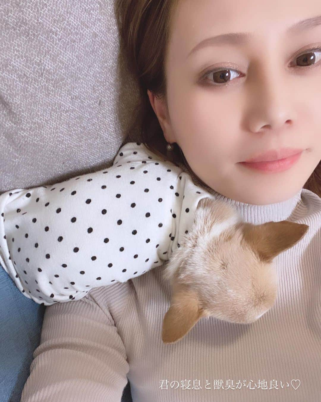 maika_kikitoyjijiさんのインスタグラム写真 - (maika_kikitoyjijiInstagram)「. Toy&Kiki&Me . 子供達が寝室行ったら 君たちの番だよ❤️ 重さと寝息と獣臭が心地良い🤭💕 こんな時間が ずっと続けばいいのにね☺️ . . #犬スタグラム #犬との生活 #犬と暮らす #犬すたぐらむ #犬写真 #犬かわいい #チワワ好きな人と繋がりたい #チワワ親バカ部 #チワワのいる暮らし #チワワ多頭飼い #チワワ部 #チワワなしでは生きていけません会 #チワワのいる生活 #チワワスムース」1月13日 16時24分 - maika_kikitoyjiji