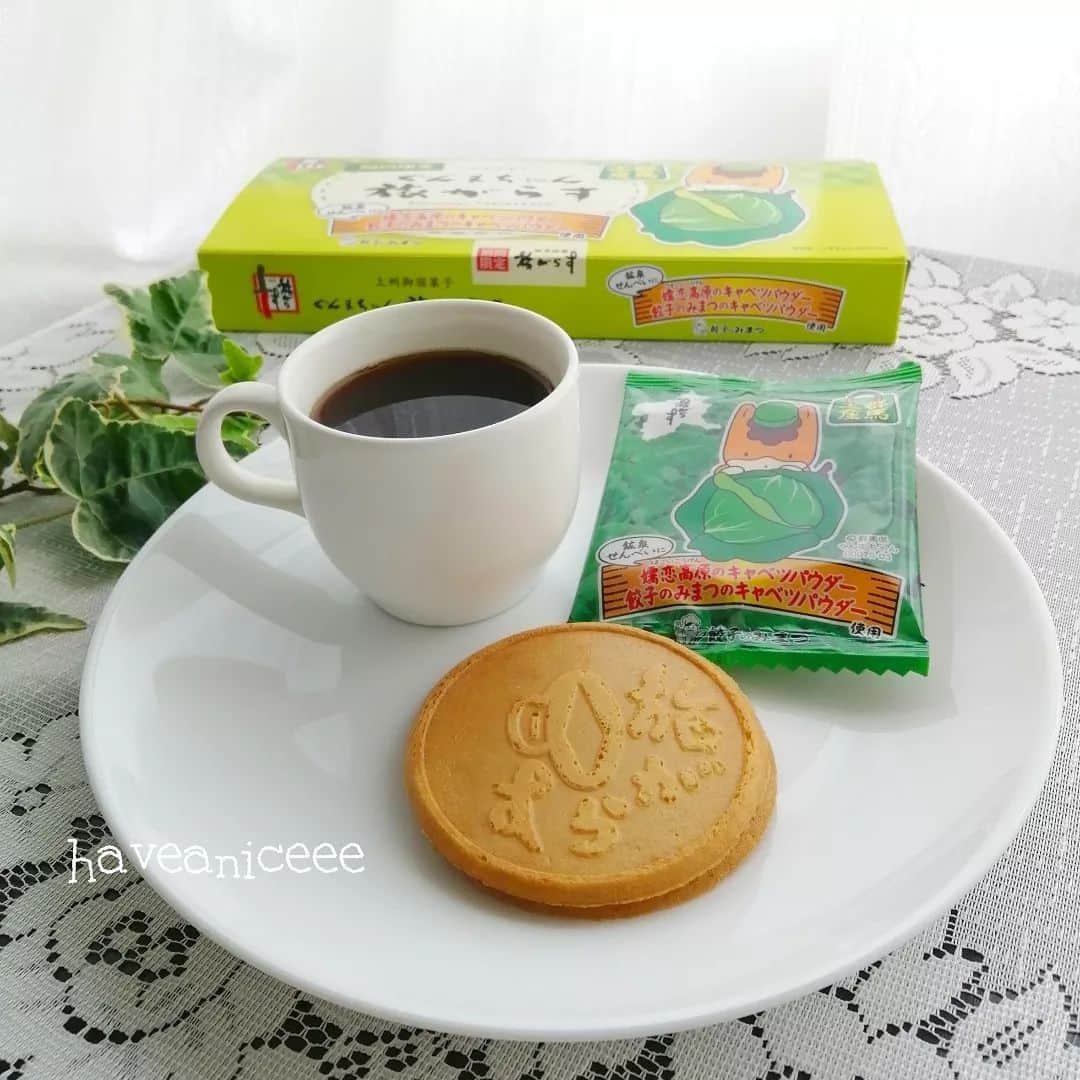 みまつ食品 餃子工房RON ひとくち餃子とキャベツサイダーのインスタグラム