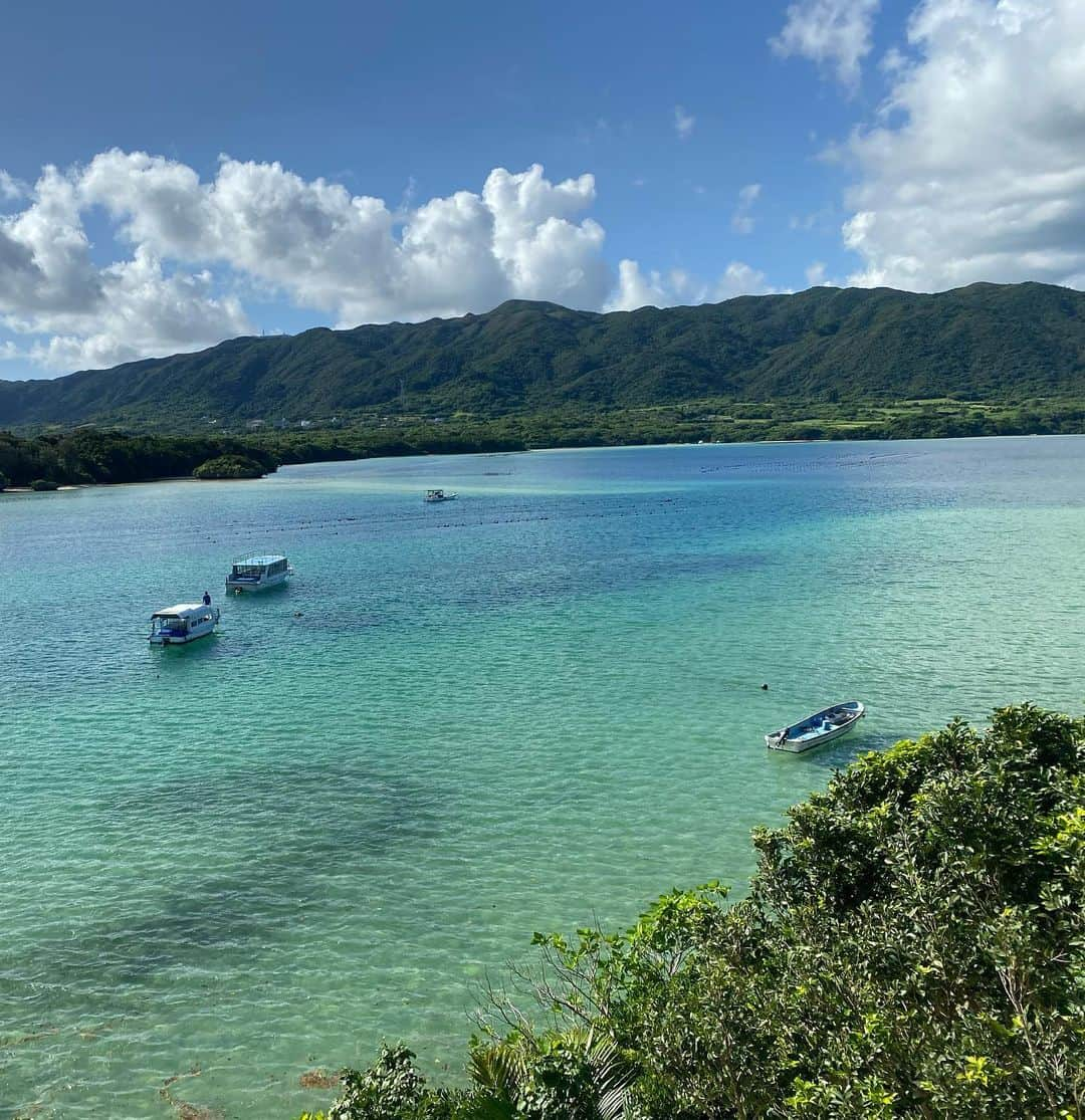 梅本静香さんのインスタグラム写真 - (梅本静香Instagram)「去年は7回ぐらい旅行行って充実した年でした✈️✨ 皆様今年も宜しくお願いいたします🙇‍♀️  遂に20代が終わるーーー🫣笑  #いつもどこか行ってますねって言われる #石垣島 #北海道 #usj #鮨西光 #ハーヴェスト熱海伊豆山 #あじくらや本店  #大阪 #旅行」1月13日 20時54分 - shizuka0523xx