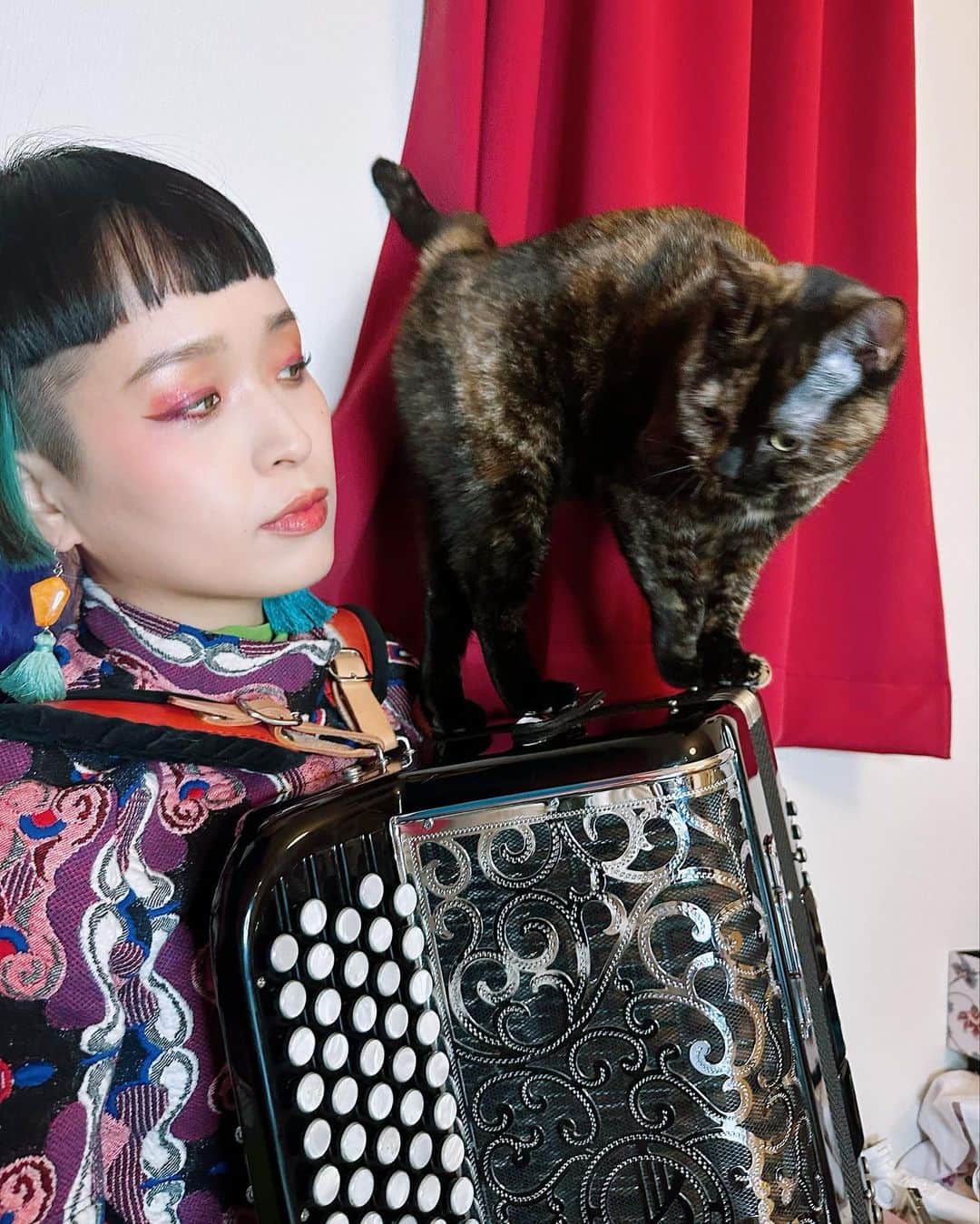 小春さんのインスタグラム写真 - (小春Instagram)「弾くと乗ってくるんだけど普通に邪魔で困る」1月13日 21時32分 - suttokodokkoiii