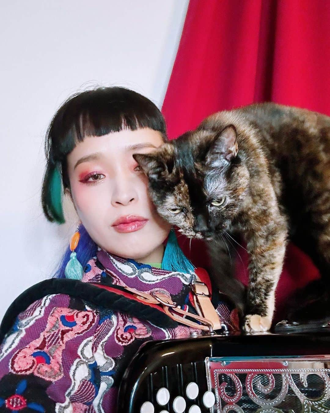 小春さんのインスタグラム写真 - (小春Instagram)「弾くと乗ってくるんだけど普通に邪魔で困る」1月13日 21時32分 - suttokodokkoiii