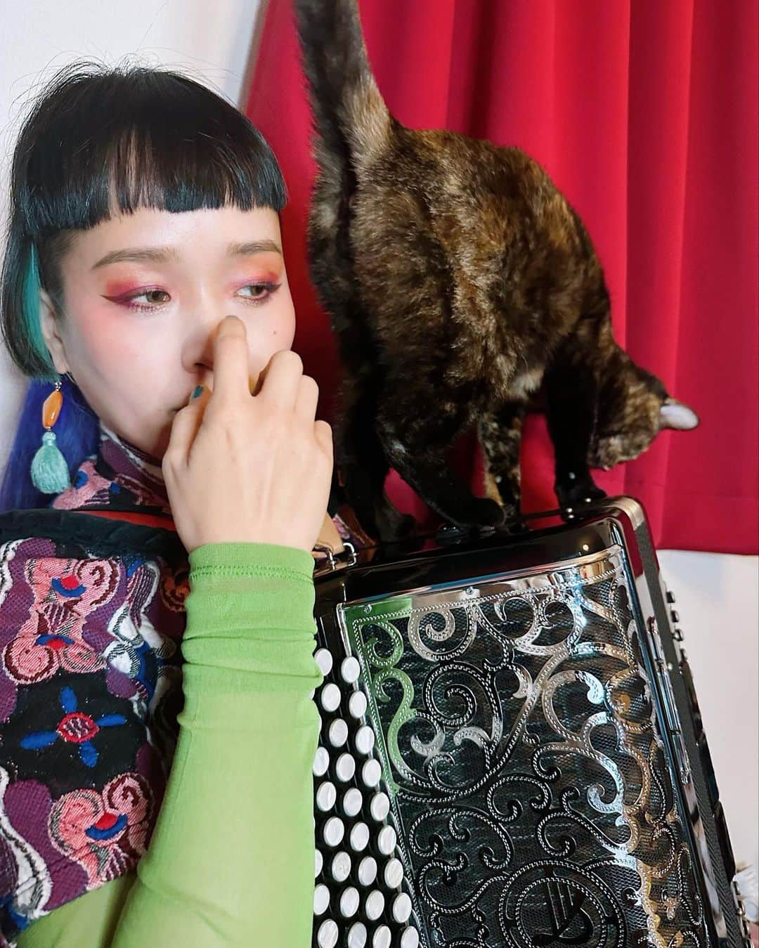小春さんのインスタグラム写真 - (小春Instagram)「弾くと乗ってくるんだけど普通に邪魔で困る」1月13日 21時32分 - suttokodokkoiii