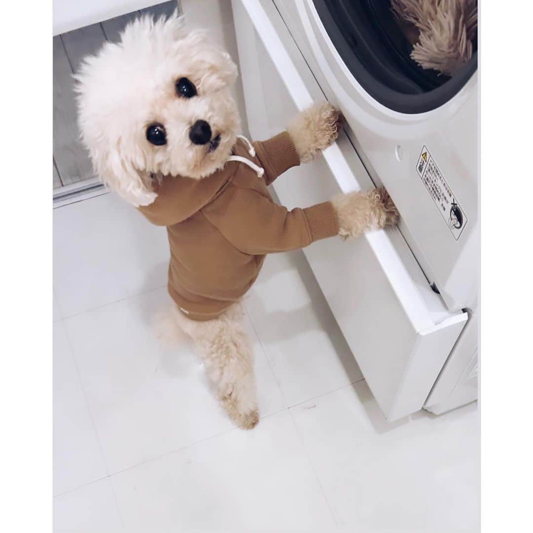mizuのインスタグラム：「やっぱり残したくなったので…♡」