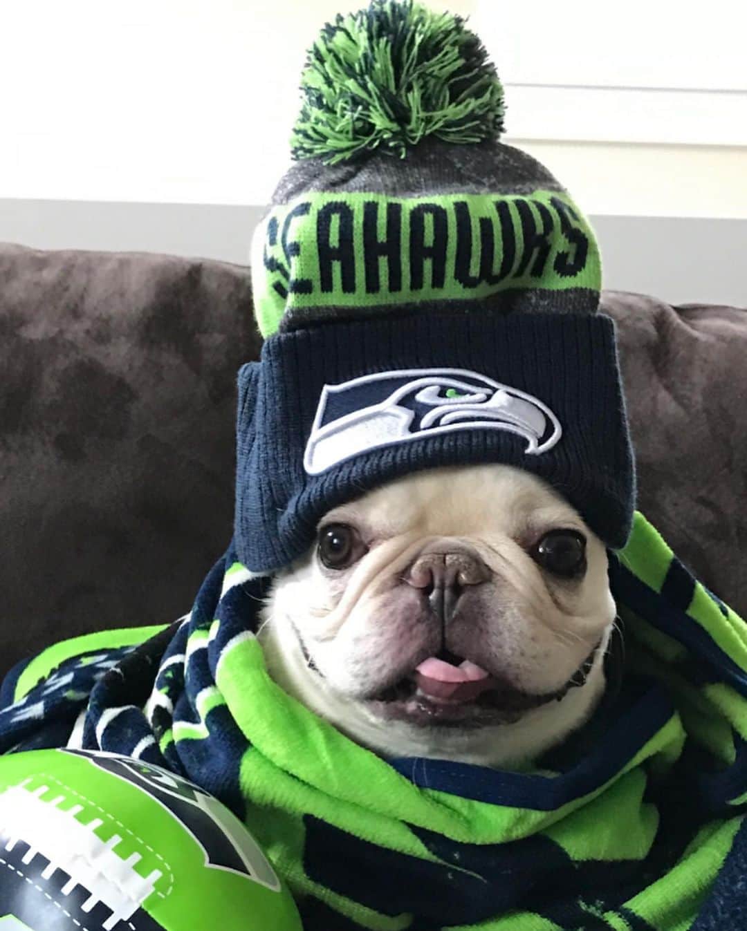Sir Charles Barkleyのインスタグラム：「We’re in the playoffs!! Let’s go @seahawks !!!!! #gohawks #bluefriday」