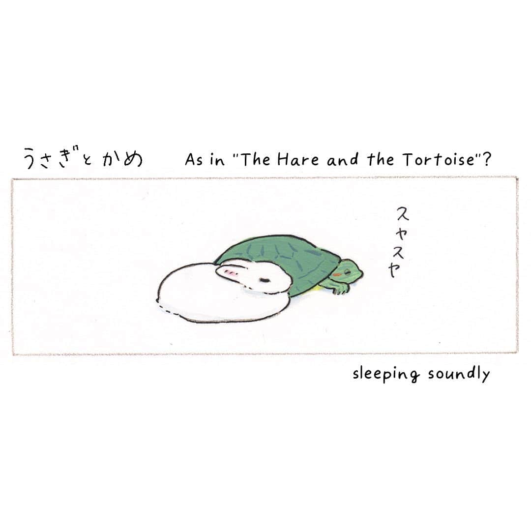 森山標子(しなこ)/Schinakoのインスタグラム：「As in "The Hare and the Tortoise"? 「うさぎとかめ」🐇💞🐢」