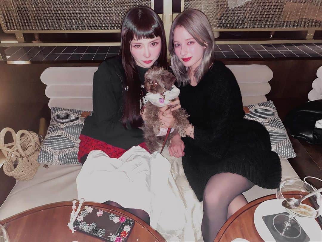 TORICOのインスタグラム：「ぷにゃとこたおちゃんと3人で昼から夜までずっといた🐩  いっぱい話して幸せすぎた。  いぬー🐕」