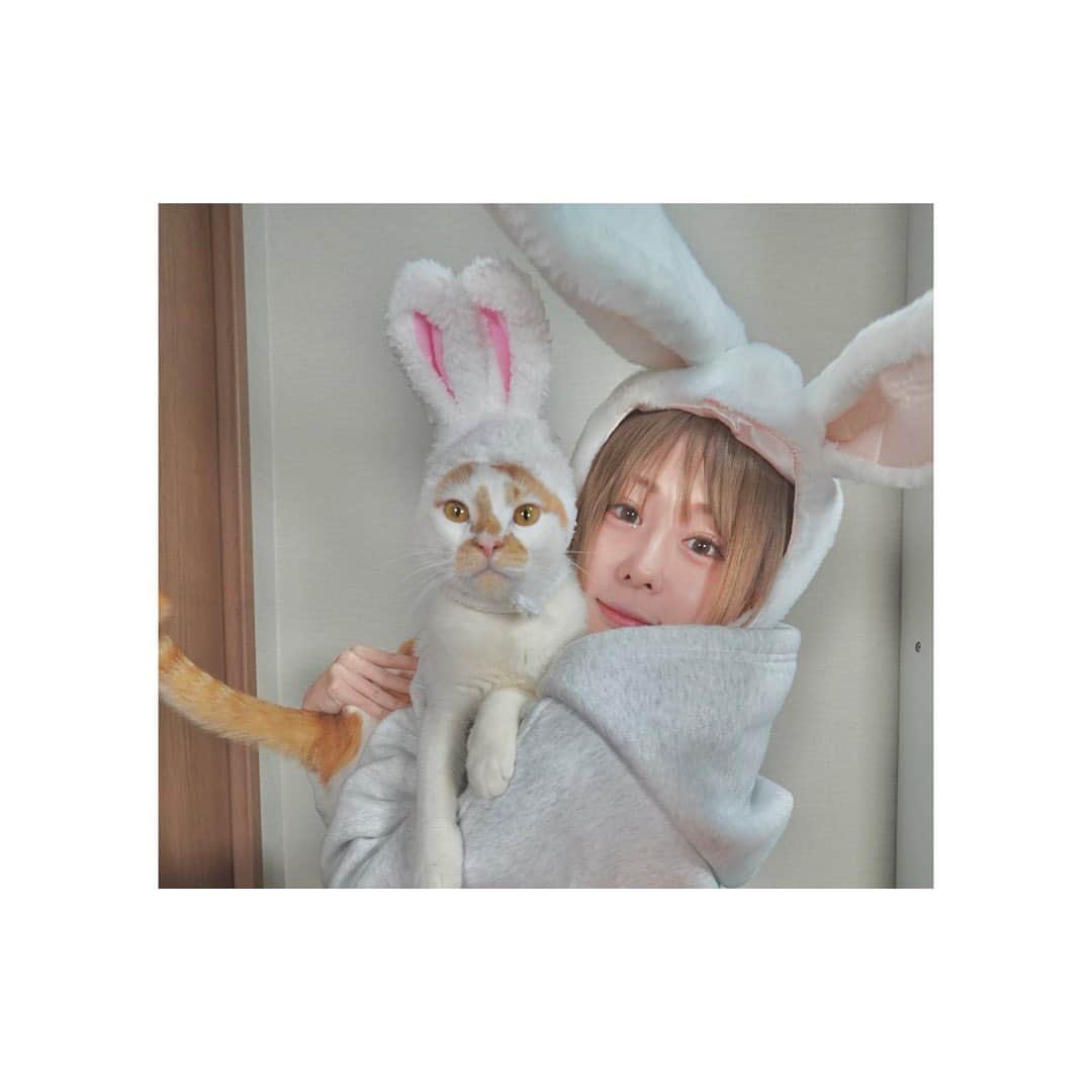 神堂きょうかのインスタグラム：「. . 今更だけども！. . 今年はねぇ、色々準備する！！. . . だからね、いっぱい頑張る！！. . . いっぱい笑う！！. . . そして、 馬橋稲荷神社の昇り龍と降り龍が. カッコよくてたまりませんでした！！🥴. . . #今更のご挨拶 #うさぎです #神社」