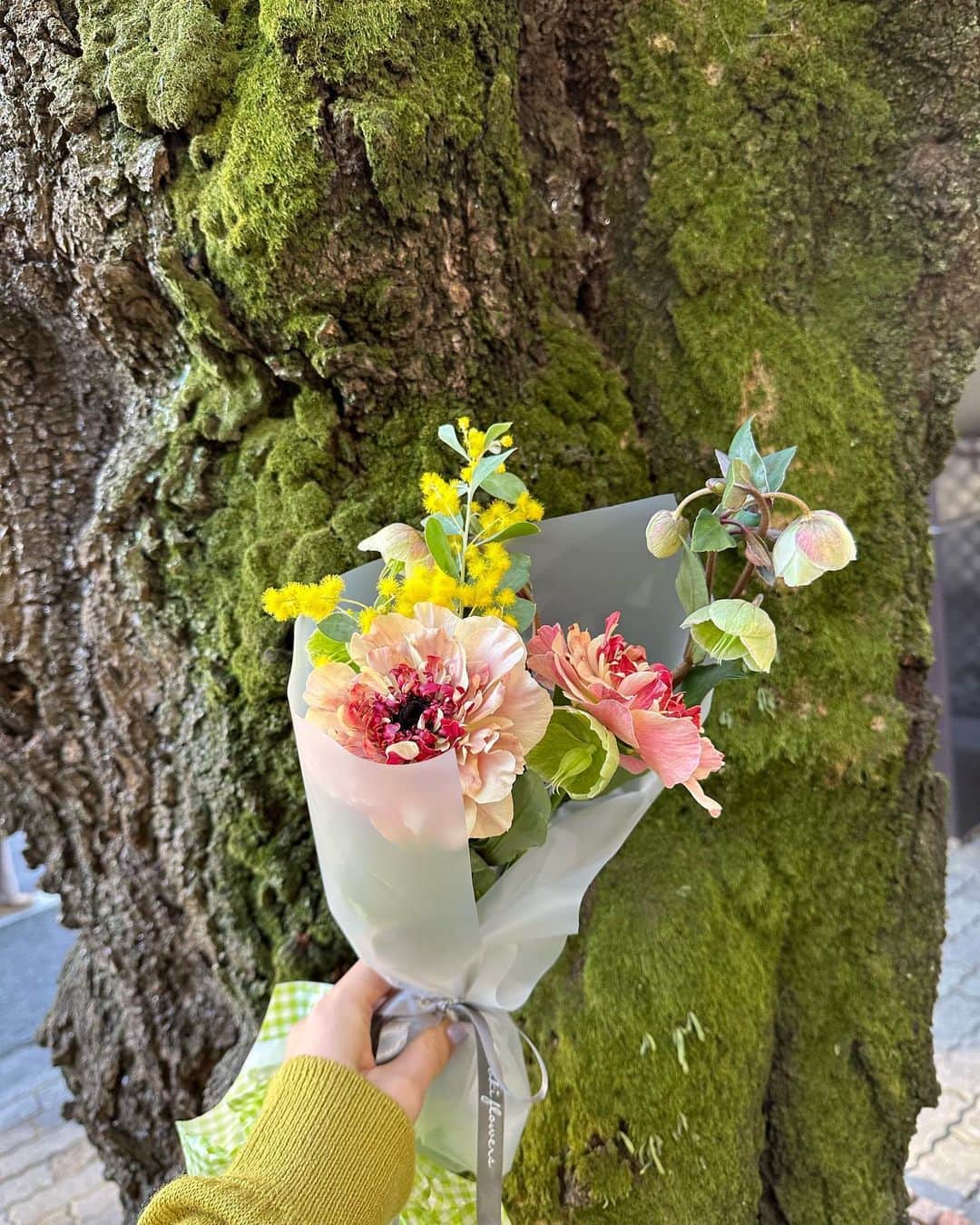 村上佳菜子さんのインスタグラム写真 - (村上佳菜子Instagram)「🌻🌻🌻🌻 . お花のプレゼントって本当に嬉しい❤️ . . . #お花 #フラワー」1月14日 14時11分 - kanako_m_official