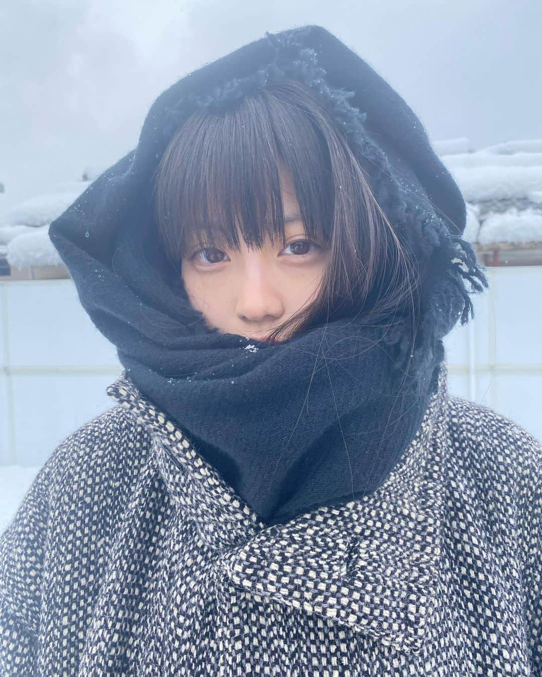 今田美桜のインスタグラム：「❄︎」