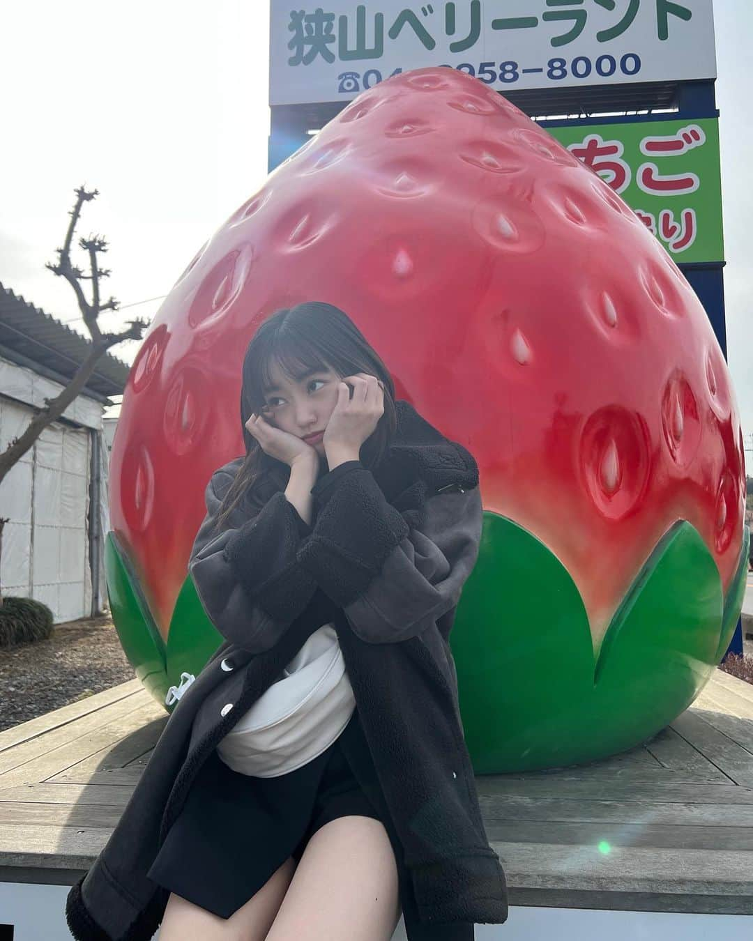 MIMORIのインスタグラム：「念願のいちご狩り🍓  いつもの友達引っ張って行ってきました👩‍👩‍👧 甘くて最高すぎた😭💜  #いちご狩り  #埼玉 #狭山  #狭山ベリーランド」