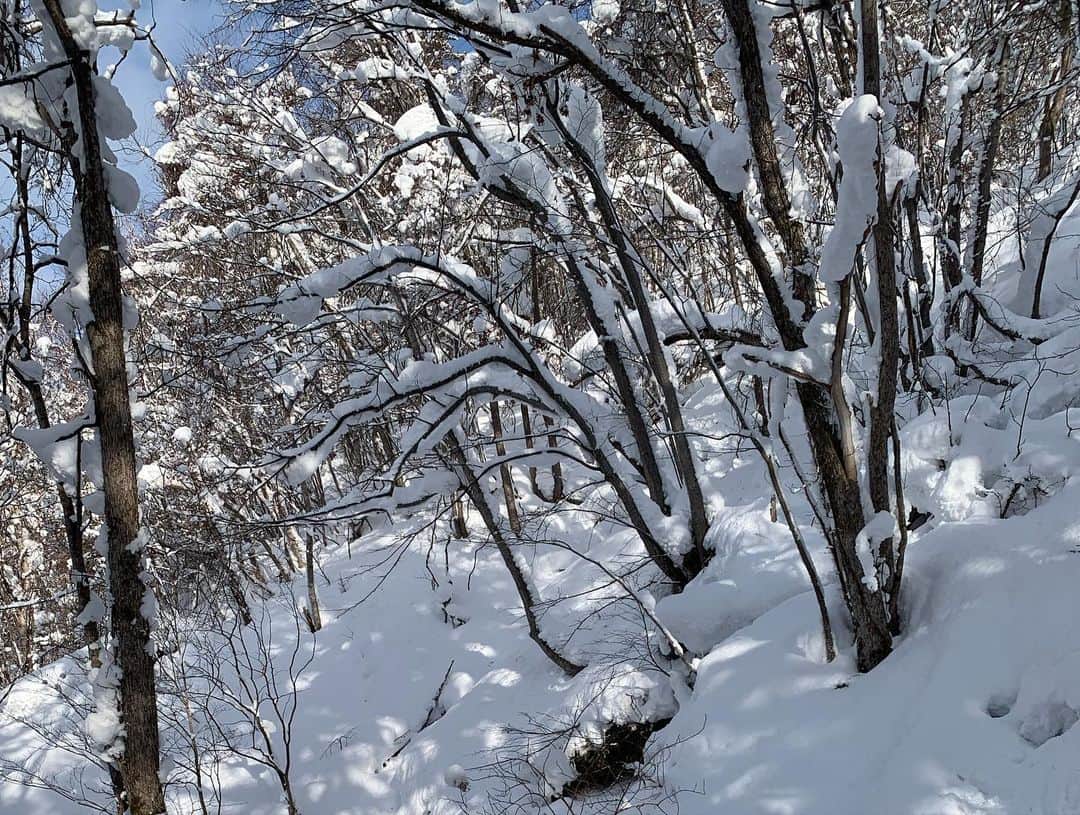 大江光さんのインスタグラム写真 - (大江光Instagram)「Day13-17. #カムイスキーリンクス  東京から来られていた鹿野さんとやっと滑れて、 キッズギャングたちと爆走して、 近くにスキー場があるって最高。  #カムイスキーリンクス #北海道パウダーベルト #hokkaidopowderbelt   #スノーボード #snowboard #旭川 #KONASURF #コナサーフ #burtonjapan #バートン」1月14日 20時24分 - hikaru3.83