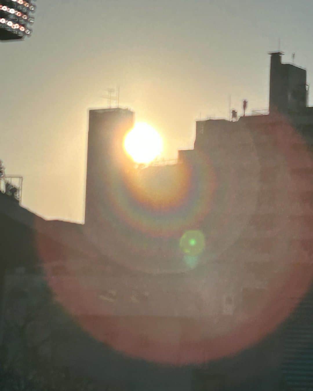 土屋眞弓のインスタグラム：「秩父宮ラグビー場へ TOKYO SUNTRY SUNGOLIATHの応援に行って来ました 大差で勝利💪🏆 試合終了間際の夕陽が美しかった✨✨  久々ラグビー観戦楽しかった🏉  #tokyosuntrysungoliath」