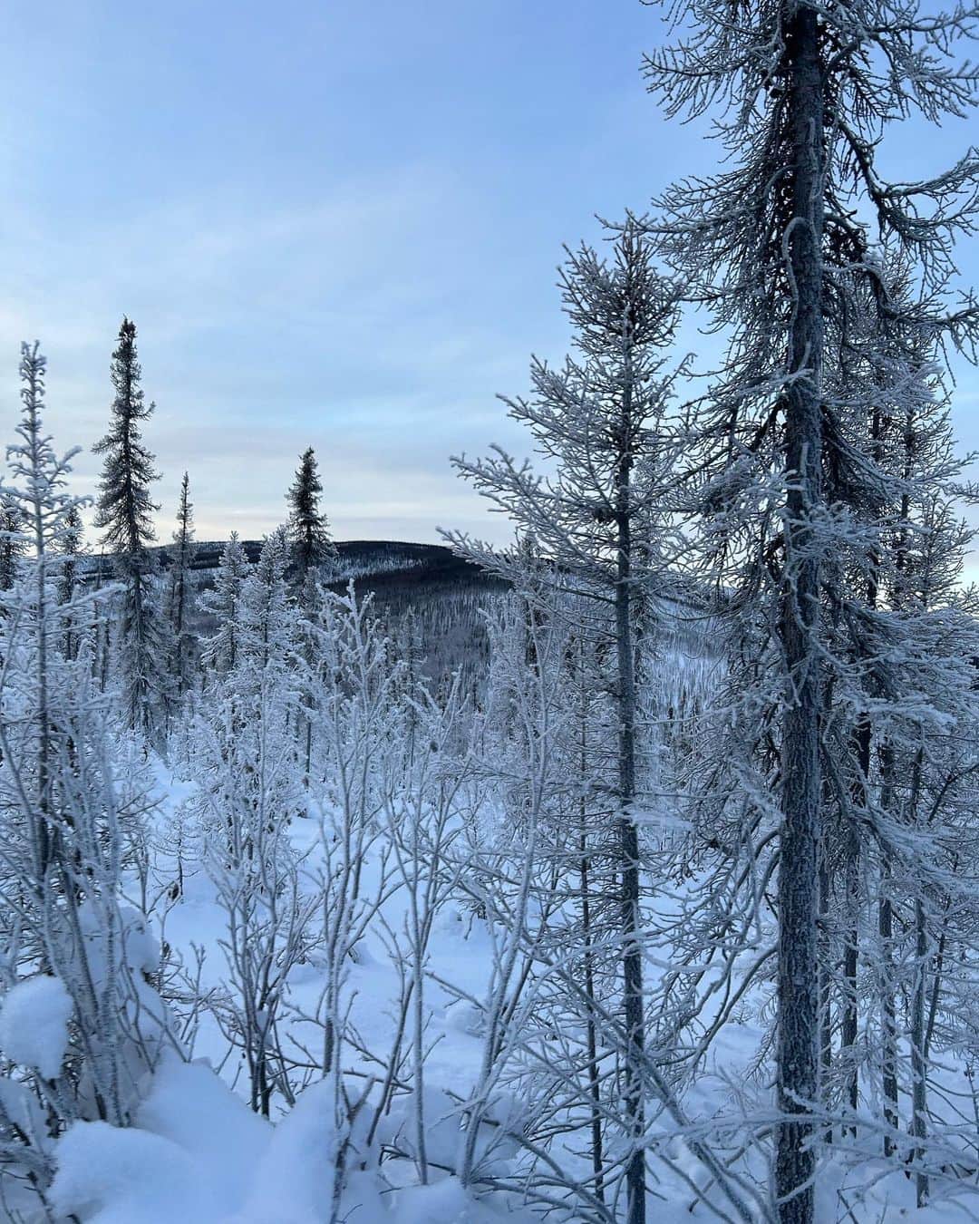 小泉麻耶さんのインスタグラム写真 - (小泉麻耶Instagram)「2023年最初のexciting moments🌈  Love Alaska! so much fun to explore the Nature!!  #alaska #nothenlights #fairbanks #nonfilter #iphone14」1月29日 13時24分 - mayakoizumi