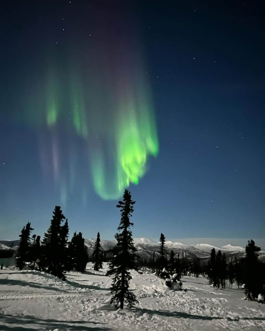 小泉麻耶さんのインスタグラム写真 - (小泉麻耶Instagram)「2023年最初のexciting moments🌈  Love Alaska! so much fun to explore the Nature!!  #alaska #nothenlights #fairbanks #nonfilter #iphone14」1月29日 13時24分 - mayakoizumi