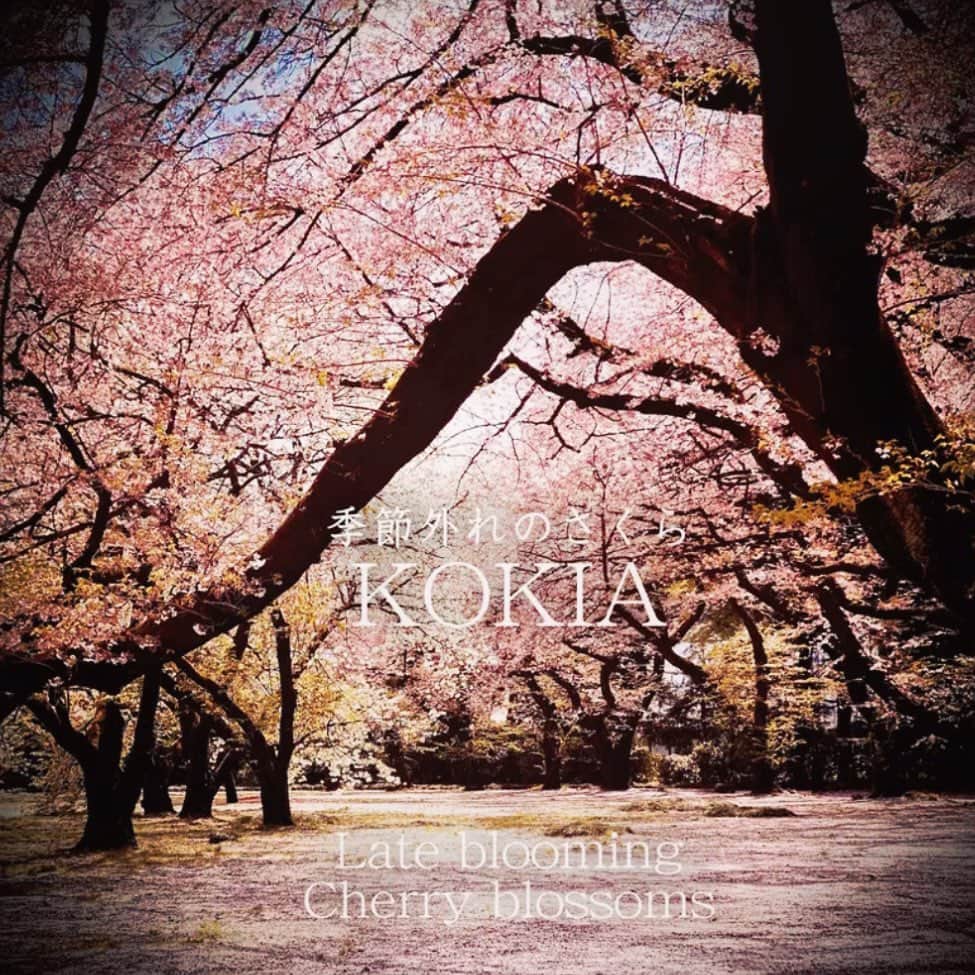 KOKIAのインスタグラム：「My song called “ Late blooming cherry blossoms “ become iTunes top 5 j-pop in the UK chart. Hip hip hooray!! #kokia#owlsong#25th#iTunes#Jpop」