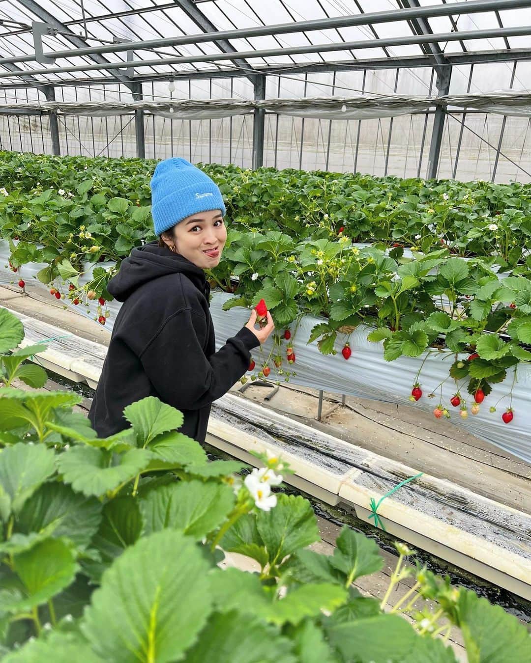 富久美玲のインスタグラム：「🍓」