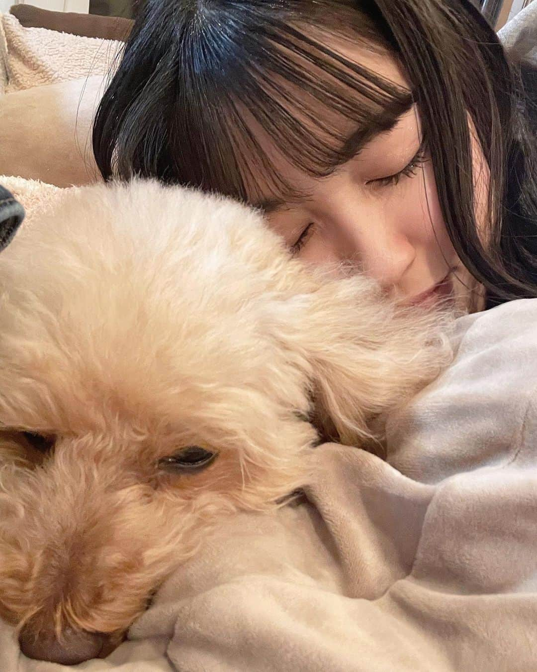 稲川美紅のインスタグラム：「🐕🐾 ‪𓂃」