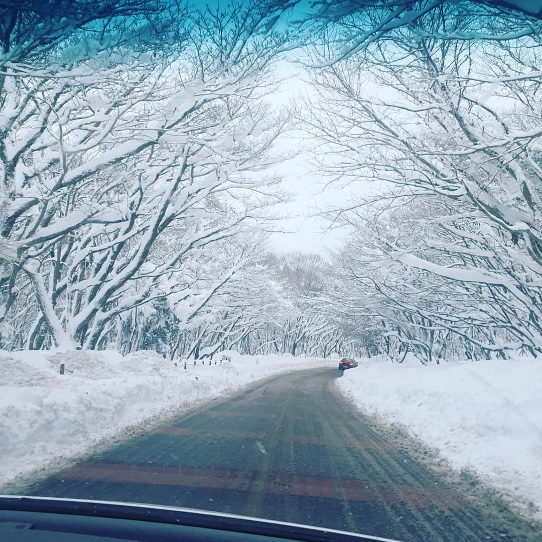 チョン・ダへさんのインスタグラム写真 - (チョン・ダへInstagram)「지난번 엄마랑 갔었던 한라산이 너무 이뻐서 애들 데리고 갔다가 1분만에 정신줄 놓음 🥶🥶🥶  한 여름 바닷가 들어가듯 눈밭에서 수영을 할 줄이야🤣🤣🤣 본인이 눈사람이 되어서야 끝난 눈 놀이 ⛄️   그래 이래야 제주도 애들이지☺️  지금 한라산 너무이뻐요 아이젠 꼭 챙겨서 짧은 어승생악이라도 가보시길 추천합니다!!!」1月29日 19時39分 - ddallae