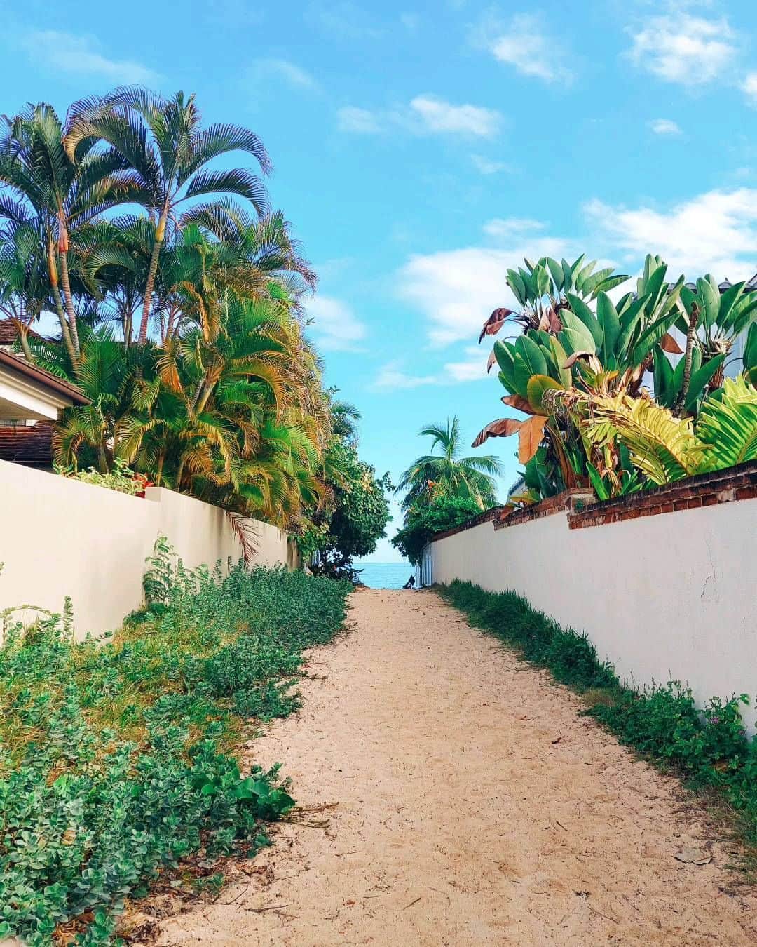 天霧真世のインスタグラム：「【𝙃𝙖𝙥𝙥𝙮 𝙧𝙤𝙖𝙙🌴⛅️】 絵画のような美しい一本の小道、⁡その先に広がるのは……⁡ ⁡全米ナンバーワンビーチに輝いたことのある天国の海『ラニカイビーチ』🌊✨ ⁡·⁡ ワクワクする幸せな小道😊🌈 ⁡· ·⁡⁡ ⁡⁡🔍896 Mokulua Dr Kailua, HI 96734 ⁡· ·⁡ ⁡· #hawaii#oahu#honolulu#lanikaibeach#laterpost⁡ ⁡#ハワイ#オアフ島#ホノルル#ラニカイビーチ#🏖⁡ ⁡#ハワイ散歩#👣 · 🌈@mayomayo.com_ 💎@mayosacise.official ✏@mayo_paint · ·⁡」