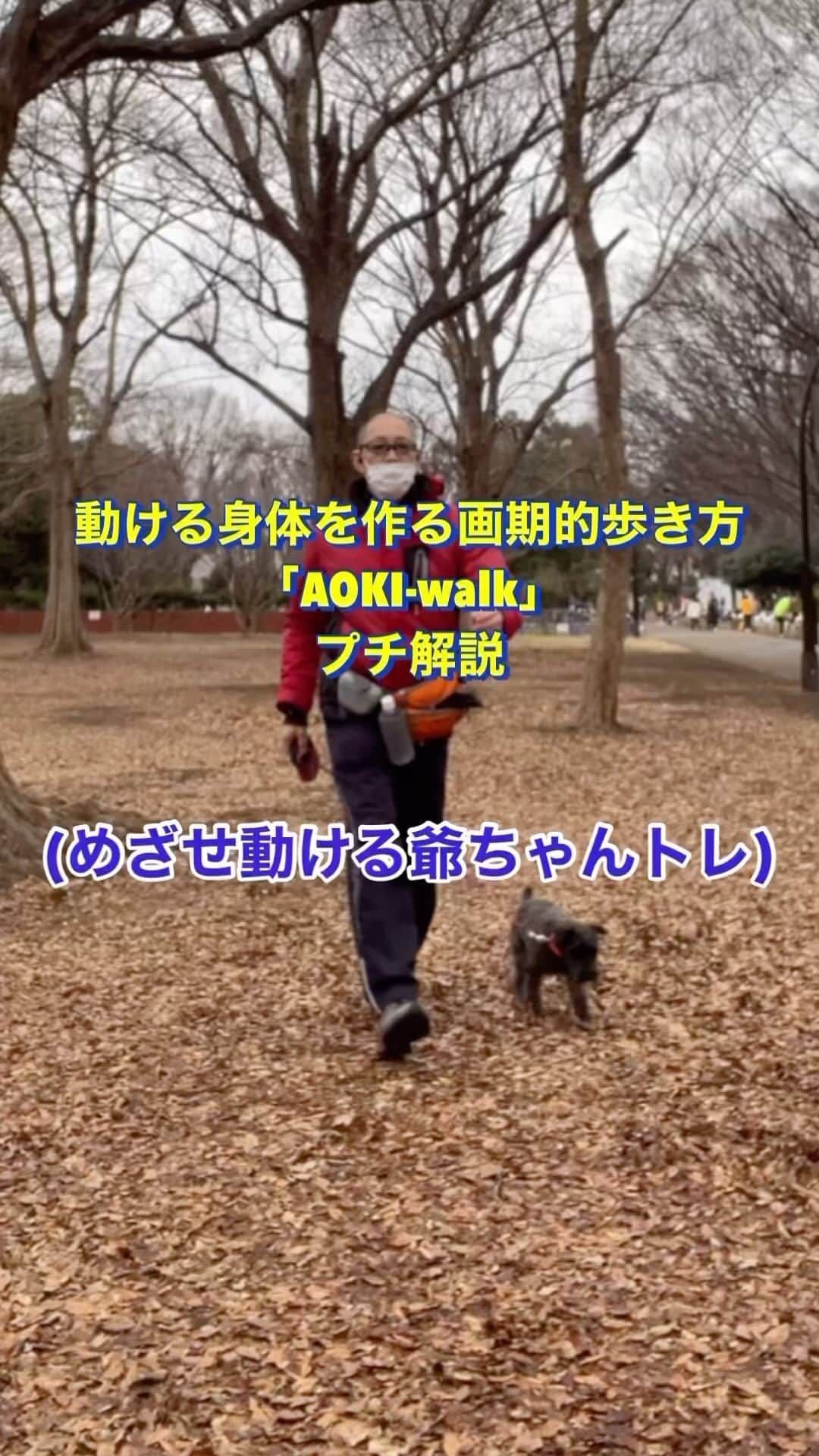 nobuaki.aokiのインスタグラム：「動ける身体を作る画期的歩き方「AOKI-walk」のプチ解説です#アンチエイジング#フィジカルアンチエイジング#中高年エクササイズ#公園トレーニング#歩き方#ウォーキングエクササイズ#モーニングルーティン#体幹トレーニング#動的ストレッチ#ファンクショナルトレーニング#動ける身体作り#目指せ動ける爺ちゃん#犬と運動#アンチエイジングトレーニング#セルフ整体#犬の散歩#青木治療院然#駒沢の整体院」