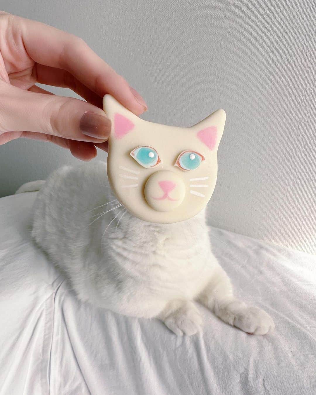 ダニョ（鈴木えみ）のインスタグラム