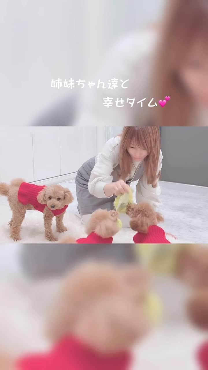 渡辺美奈代のインスタグラム