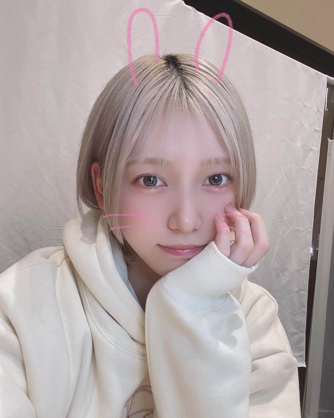茂木忍のインスタグラム：「あけましておめでとうございます🐰」