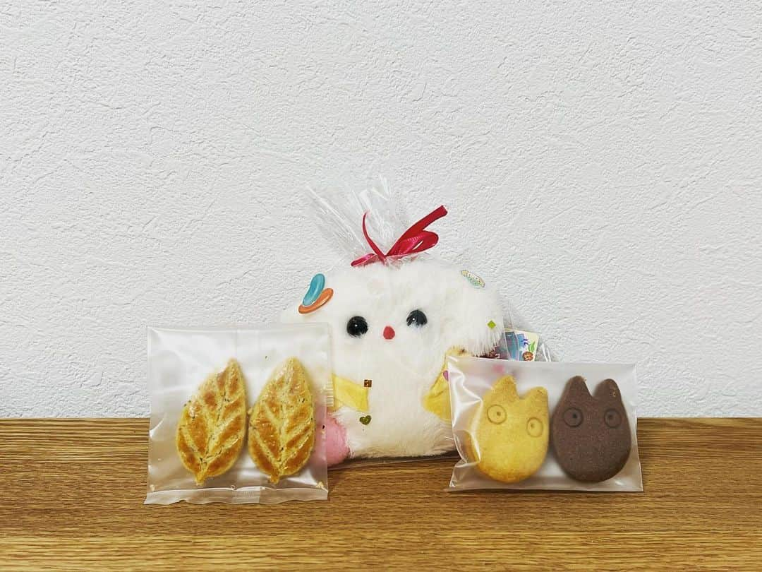 吉住のインスタグラム：「🍪 ワタボコリちゃん、いらっしゃい。 たっちゃん📦👤と上手くやっていけるといいけど…  ワタボコリちゃんの生みの親、雨宮さんから頂きました。 ありがとうございます！  #イワクラと吉住の番組 #イワクラ吉住」