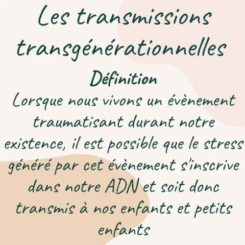 Elea Mariama DIARRAのインスタグラム：「J'ai eu pas mal de retours suite à ma storie sur les transmissions transgénerationnelles. Voilà donc un petit carrousel résumé.  #therapie #reflexologieplantaire #transmissionstransgénérationnelles #villeurbanne #lyon」