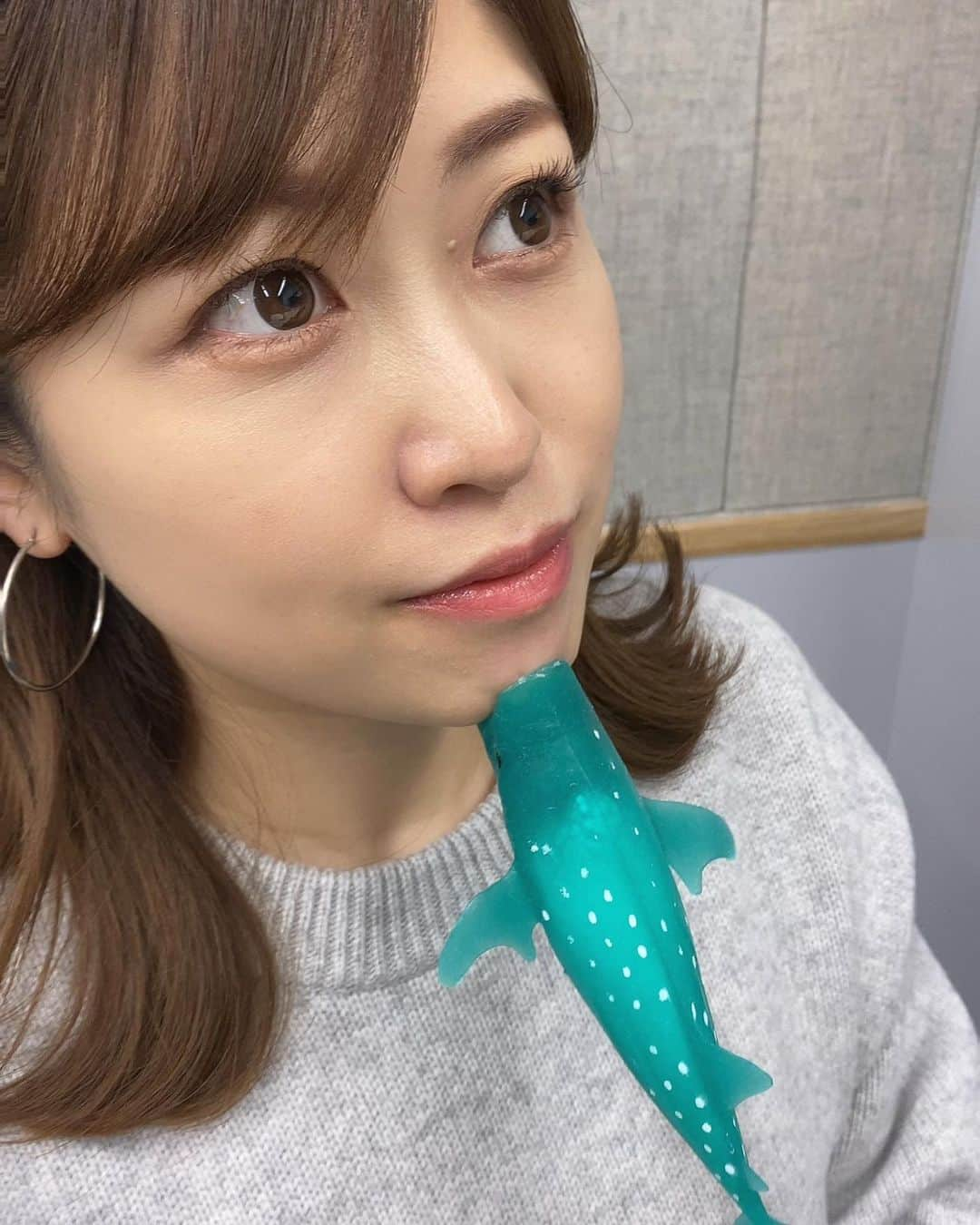 室谷香菜子さんのインスタグラム写真 - (室谷香菜子Instagram)「息子が集めている海の生き物たち。 顔にくっつくんです。 なんとも言えず可愛いです。  #北海道 #札幌 #4歳男の子 #海のいきもの #ジンベエザメ #ディアゴスティーニ #流行っているらしい #撮影金子智也」1月16日 18時05分 - hbc_muroyakanako