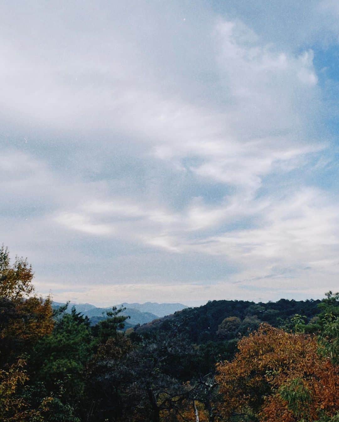 伊藤梨沙子さんのインスタグラム写真 - (伊藤梨沙子Instagram)「去年の登山思い出 今年は色々な山を登れますように🗻  #10キロ山はしご #家族と友達と話しながらの登山楽しかった」1月16日 18時43分 - ito_risako