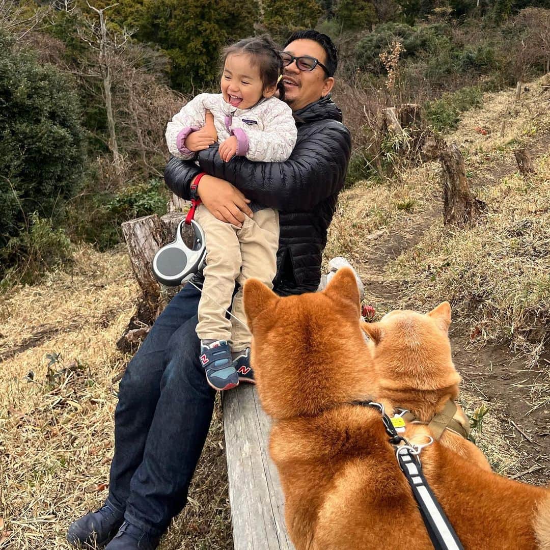 マル子のインスタグラム：「昨日のお散歩  2夫婦プラス小さい女子４人🚶‍♀️🚶‍♀️🐕🐕  面白かったなぁw  アイポンで写真長押しすると勝手に切り抜いてくれるの知ってた？  #誘拐犯ではありません  #心配そうな犬2匹 #マル子  #椿」
