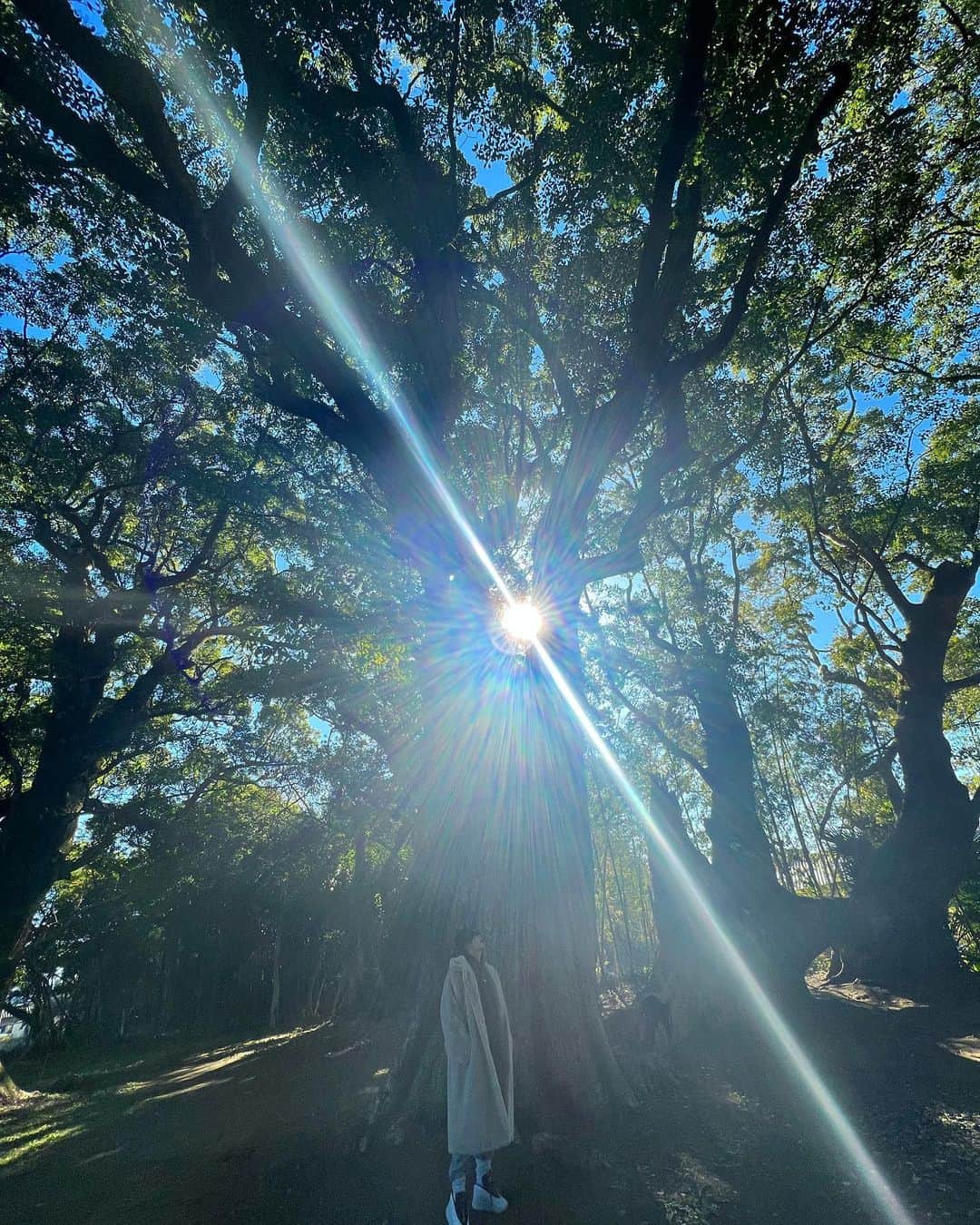 ミッチーのインスタグラム：「Peaceful moments🌿🌳🍃」